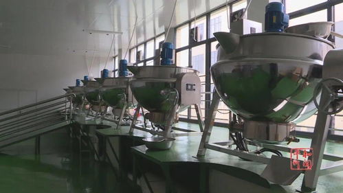 蜜柚深加工 延伸产业链、提升附加值，并探索多元化产品加工贸易新路径